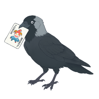 Jackdaw preview